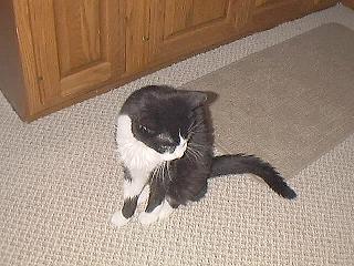 Jerk